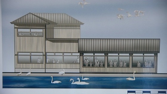 Caelaverock Wetland Nature Reserve
