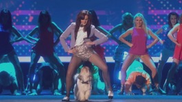 Ashleigh and Pudsey do Gangnam Style