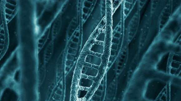 Could DNA replace USB memory sticks and hard drives in the future?
