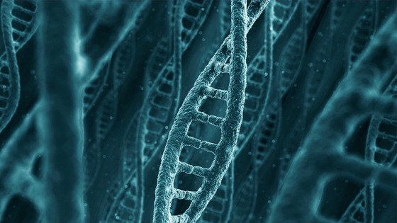 Could DNA replace USB memory sticks and hard drives in the future?