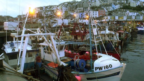 Boats in harbour