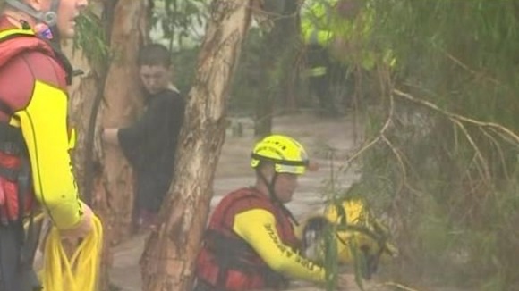 Teenager clings to a tree before being rescued from surging floodwaters