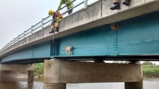 Fire crews get deja vu in sheep bridge distress call