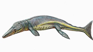 Tyrannoneustes lythrodectikos