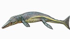 Tyrannoneustes lythrodectikos
