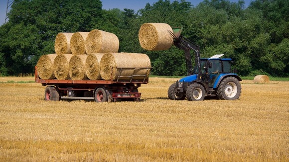 Bale carting after harvest