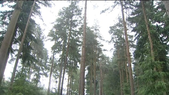 The new group will also work with landowners to make sure it's sustainably managed.