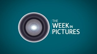 The Week in Pictures