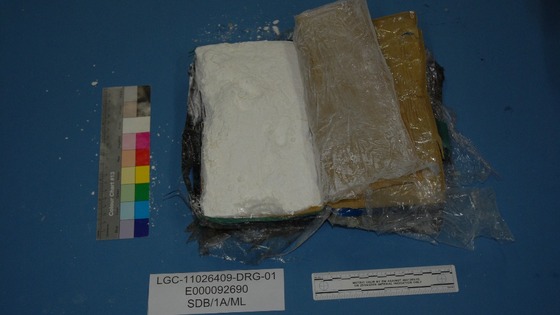 Cocaine block