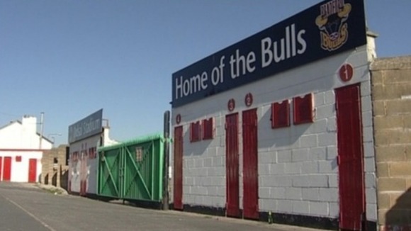 Bulls picture