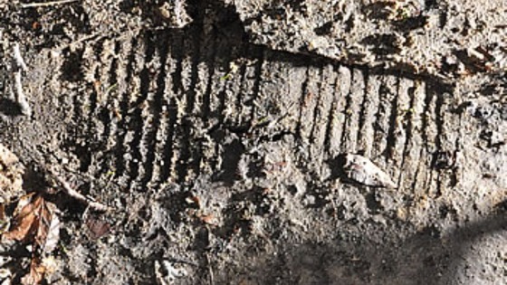 footprint