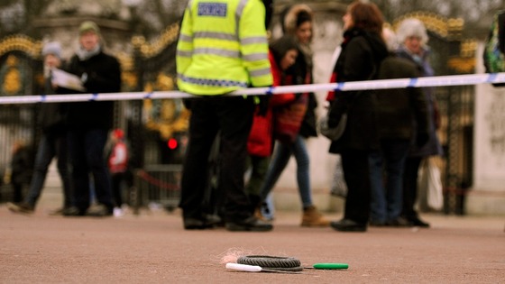 Buckingham Palace Tasering