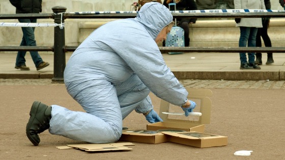 Buckingham Palace Tasering