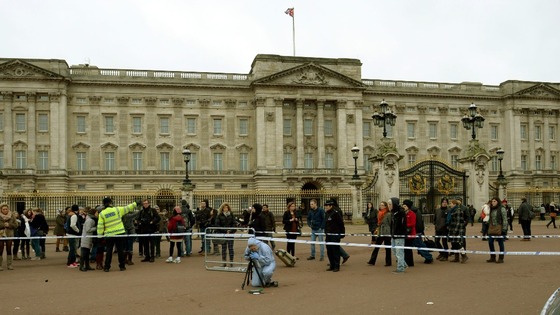 Buckingham Palace Tasering