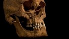 Richard III