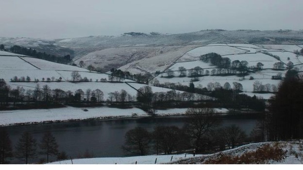 Derwent in the snow