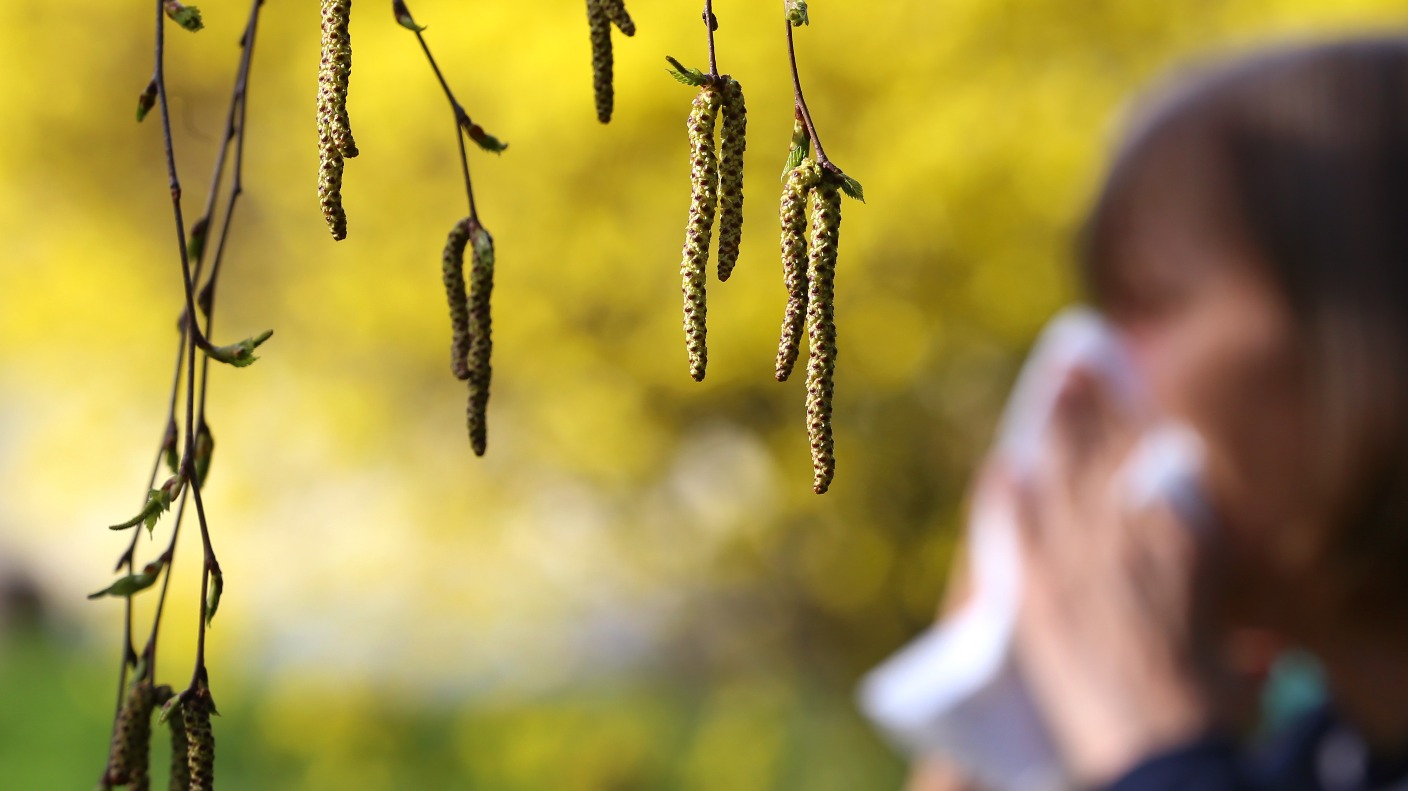 Say Goodbye To Sneezes Revolutionary Hay Fever Drug Itv News - pqxc601