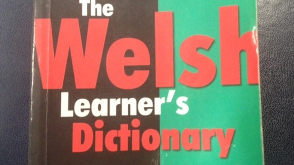 Welsh Learner's Dictionary