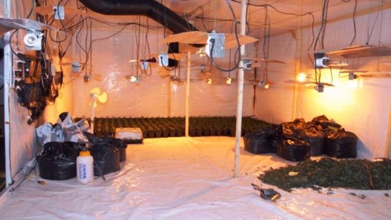 Officers seized a large amount of growing equipment 
