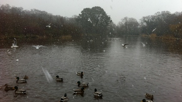Snow on the duck pond