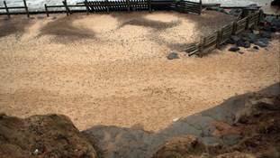 More than £19 million has been set aside for a major coastal defence and regeneration project along the Clacton and Holland coastline