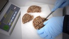 The tests will reveal no more traces of horse DNA, but the tests are only on 1/4 of processed beef products