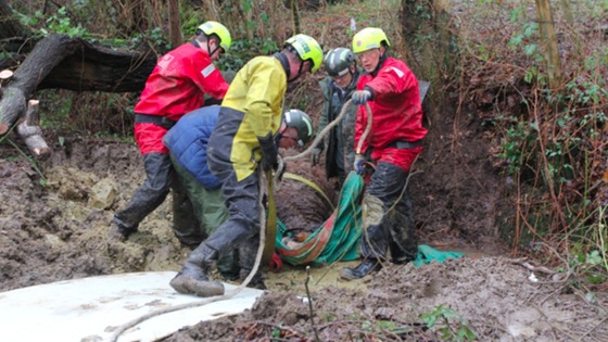 horse rescue
