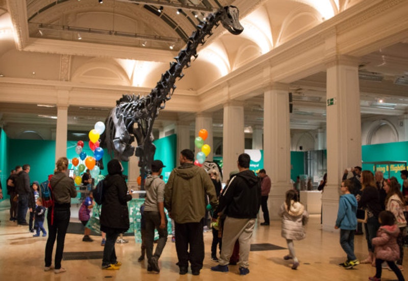 Natural History Museum Visitor Numbers Natural History Museum Visitor Numbers