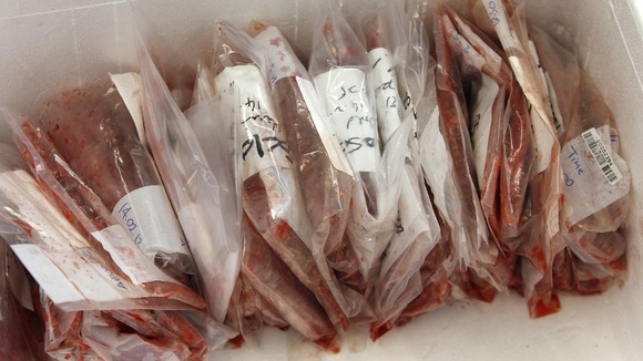 Samples of minced meat seen in a food control lab in Munich today.