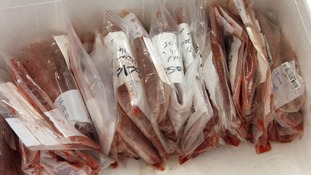 Samples of minced meat seen in a food control lab in Munich today.