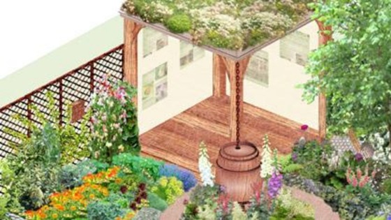 Leeds University Chelsea Flower Show entry