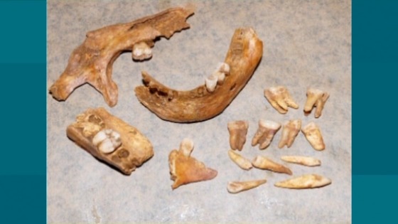 remains
