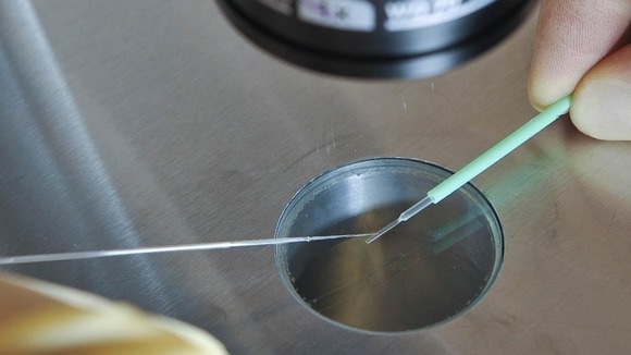 Embryos being placed onto a CryoLeaf ready for instant freezing