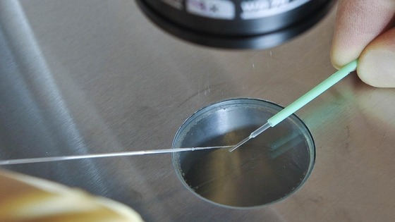 Embryos being placed onto a CryoLeaf ready for instant freezing