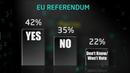 EU poll graphic
