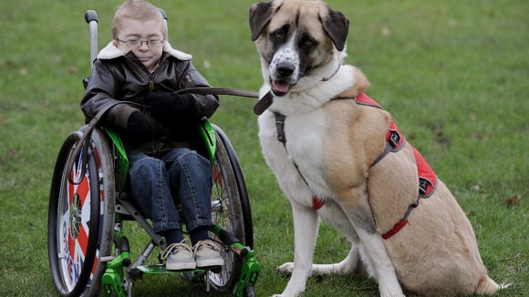 Owne Howkins & Haatchi