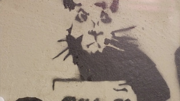 A close up on the rat holding a why sign