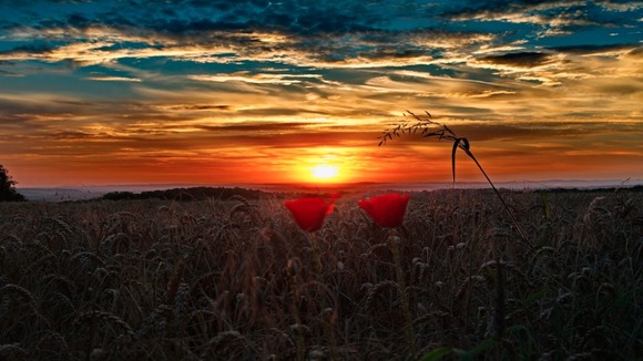 sunrise