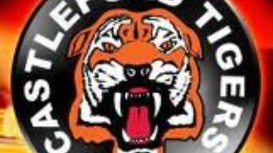 Castleford Tigers logo