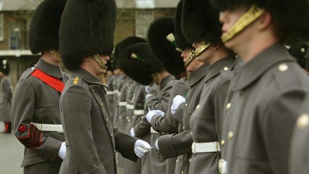 Soldiers were given 600 leeks, while 200 were given to friends of the Welsh Guards