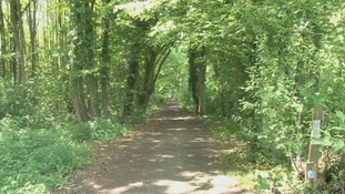 Oaken Wood, Maidstone, Woodland Trust
