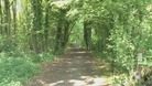 Oaken Wood, Maidstone, Woodland Trust