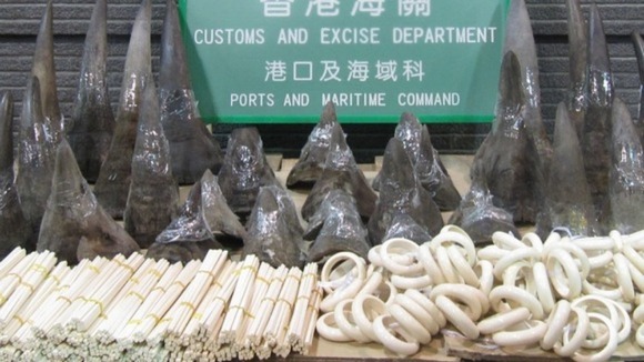 An illegal ivory haul seized in China