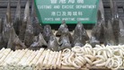 An illegal ivory haul seized in China