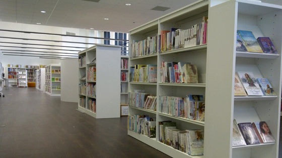 Inside the library