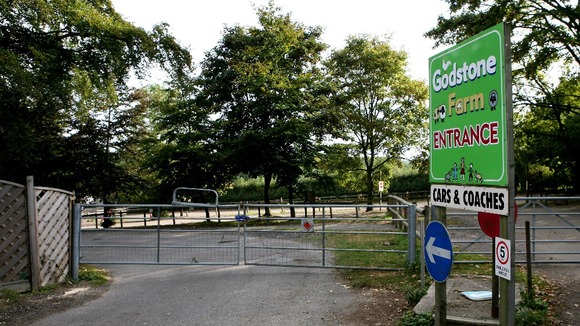 Godstone Farm