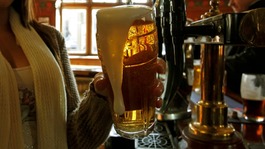 Pint being pulled