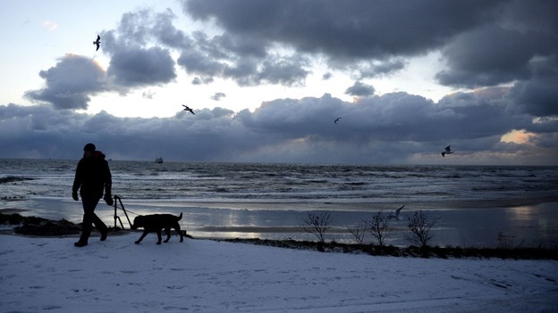A man walks his dog in Tynemouth after more overnight snow