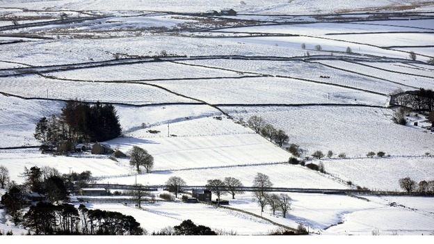 Allendale
