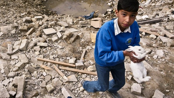A child recovers a pet rabbit